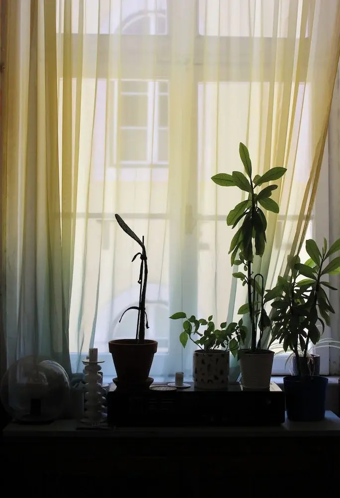 Photo - Rossio Hostel