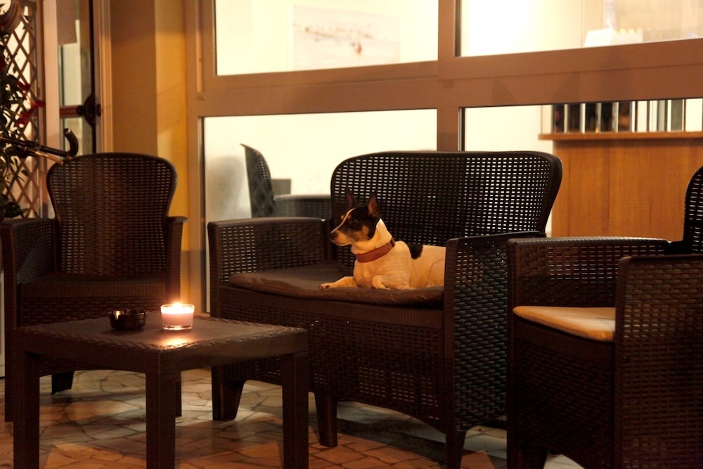 Photo - Hotel Alfa
