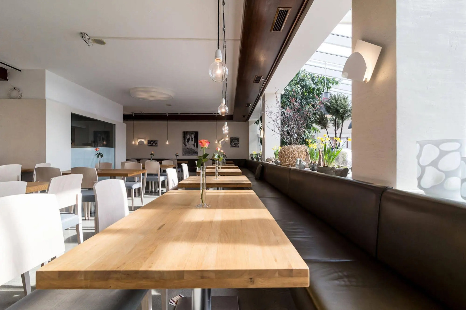 Foto - Hotel Schöne Aussicht