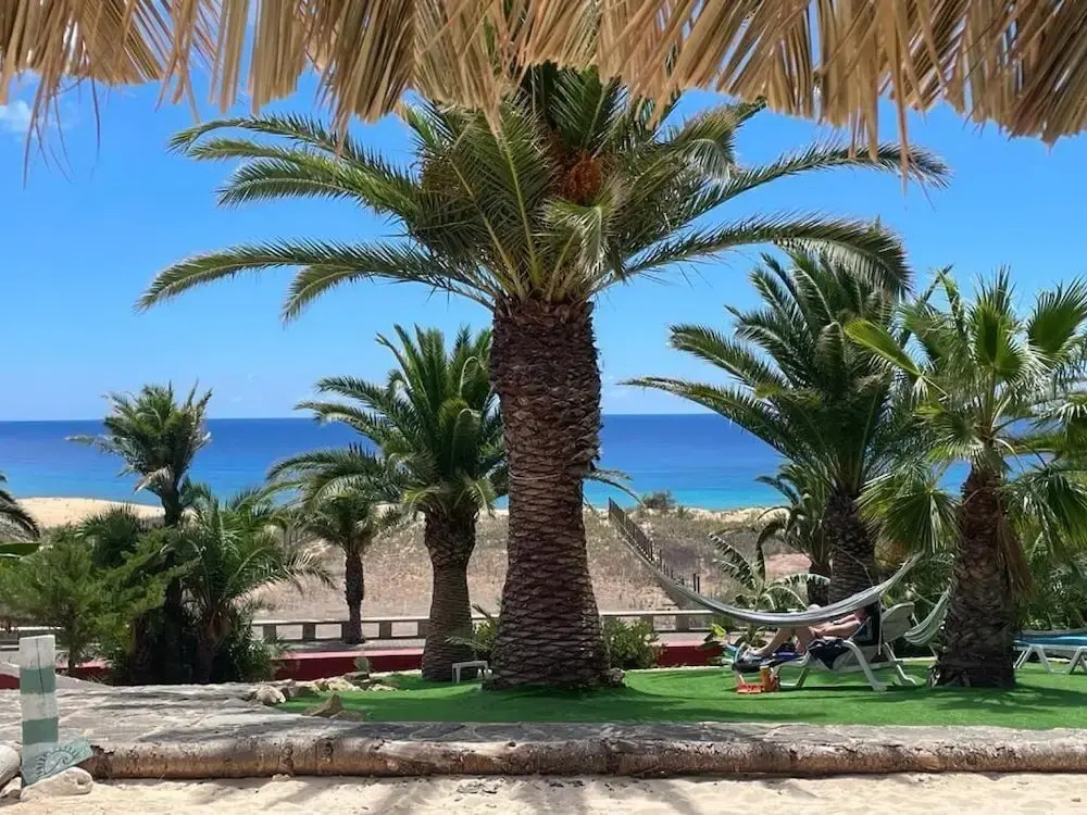 Foto - Porto Santo Destination