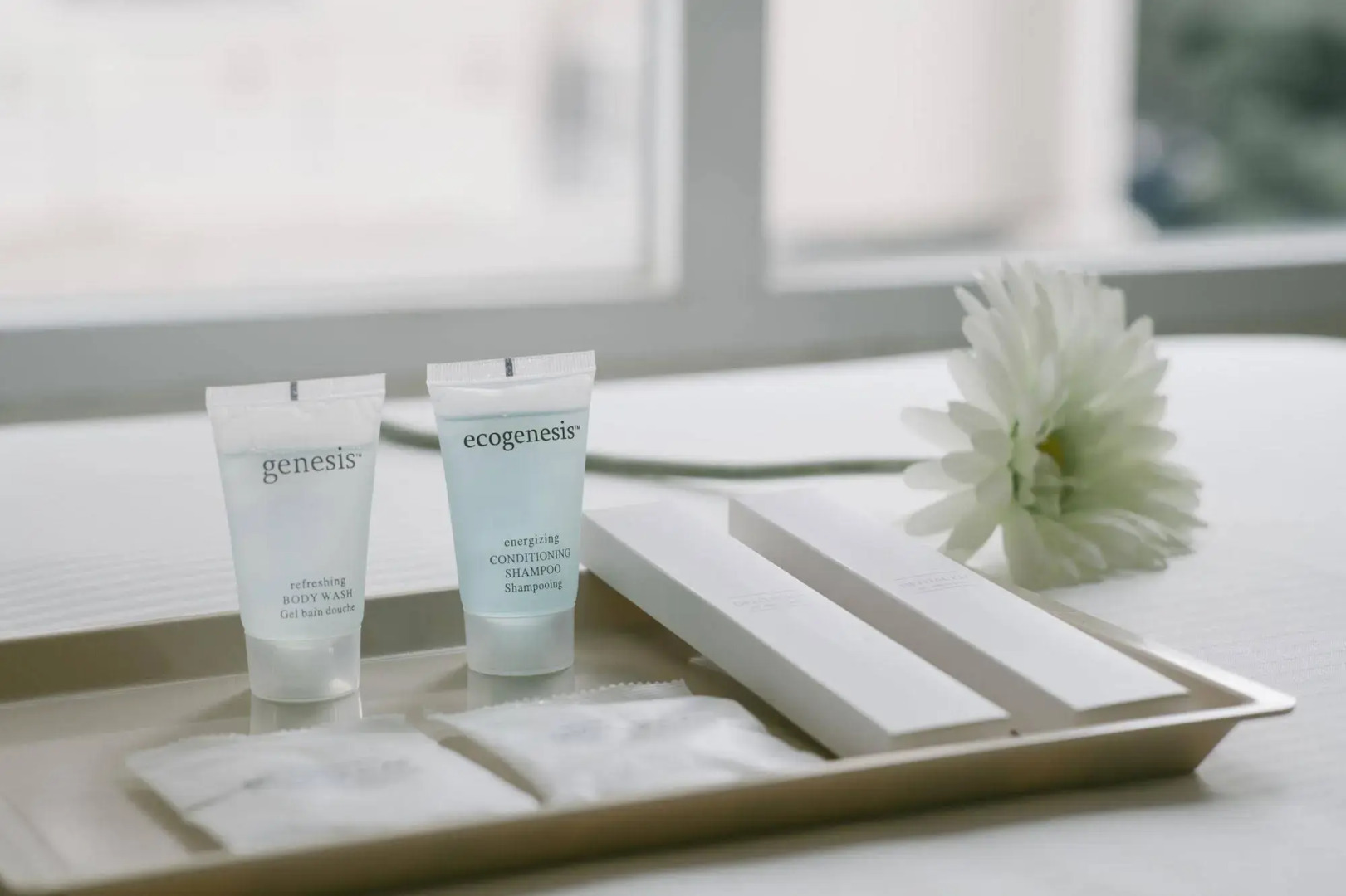 Foto - Value Hotel Nice