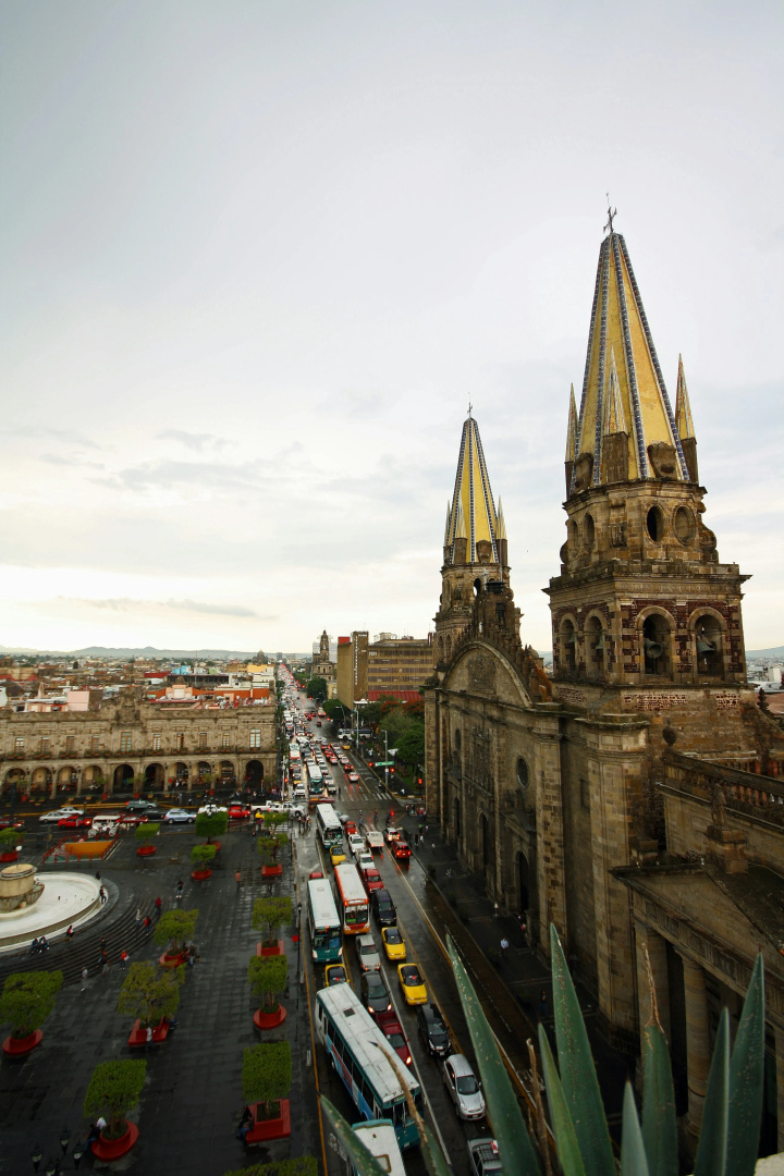 Foto - One Guadalajara Centro Historico