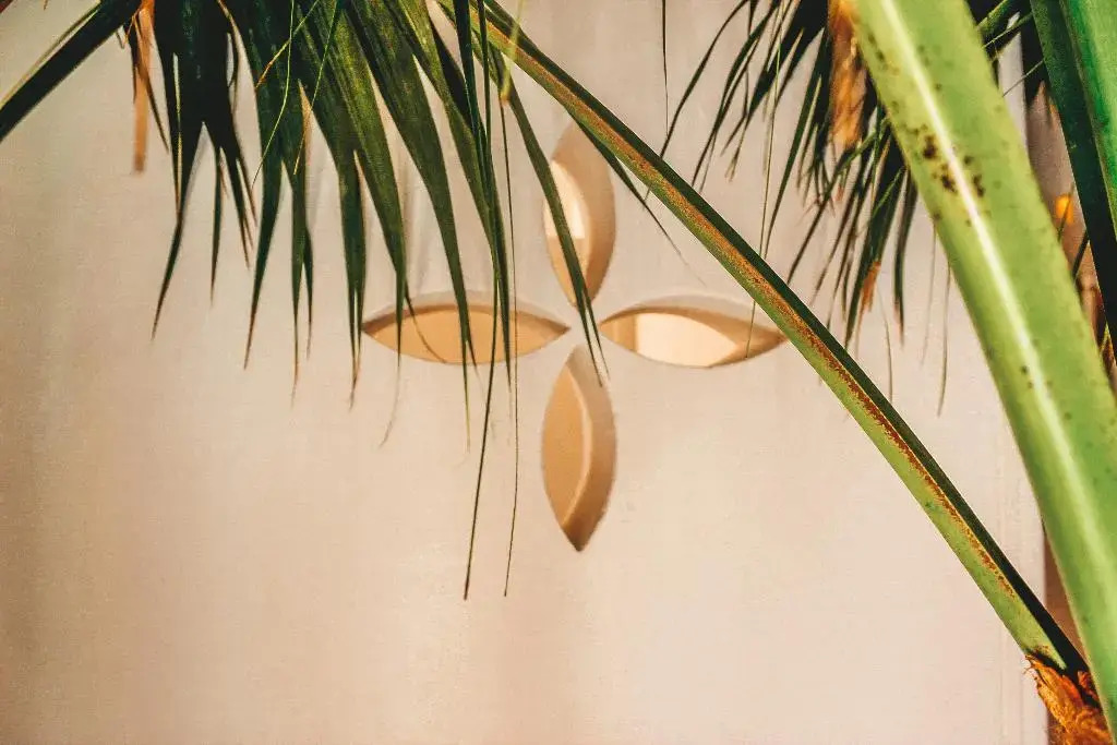 Foto - Yartan Boutique Hotel - Adults Only