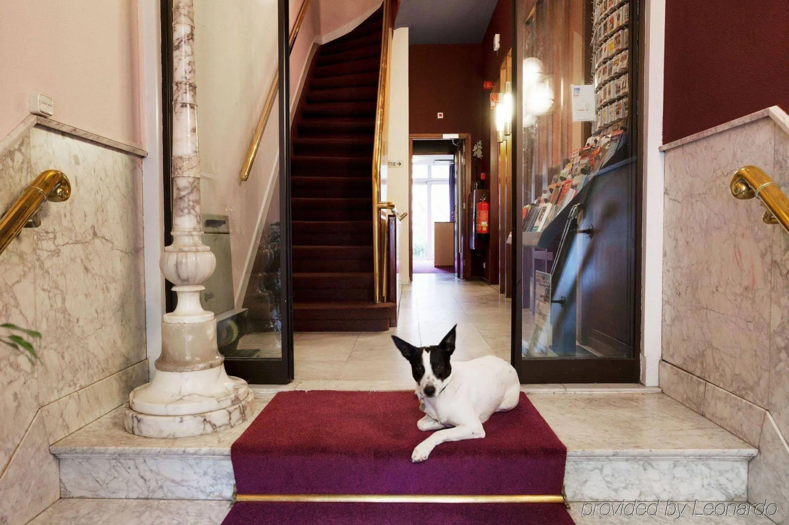 Foto - Hotel The Neighbour's Magnolia