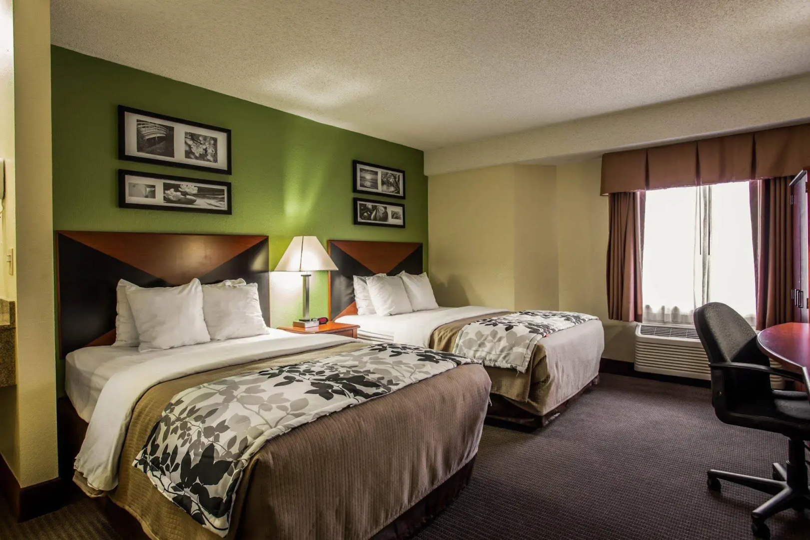 Photo - Sleep Inn Northlake