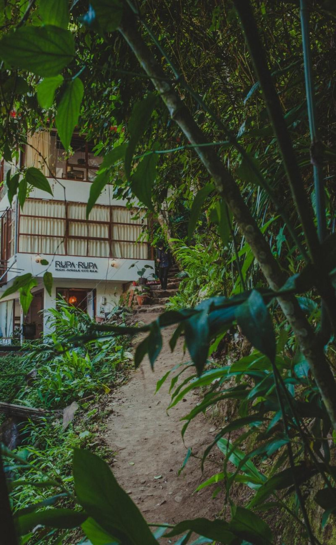 Foto - Rupa Rupa High Jungle Eco B&B