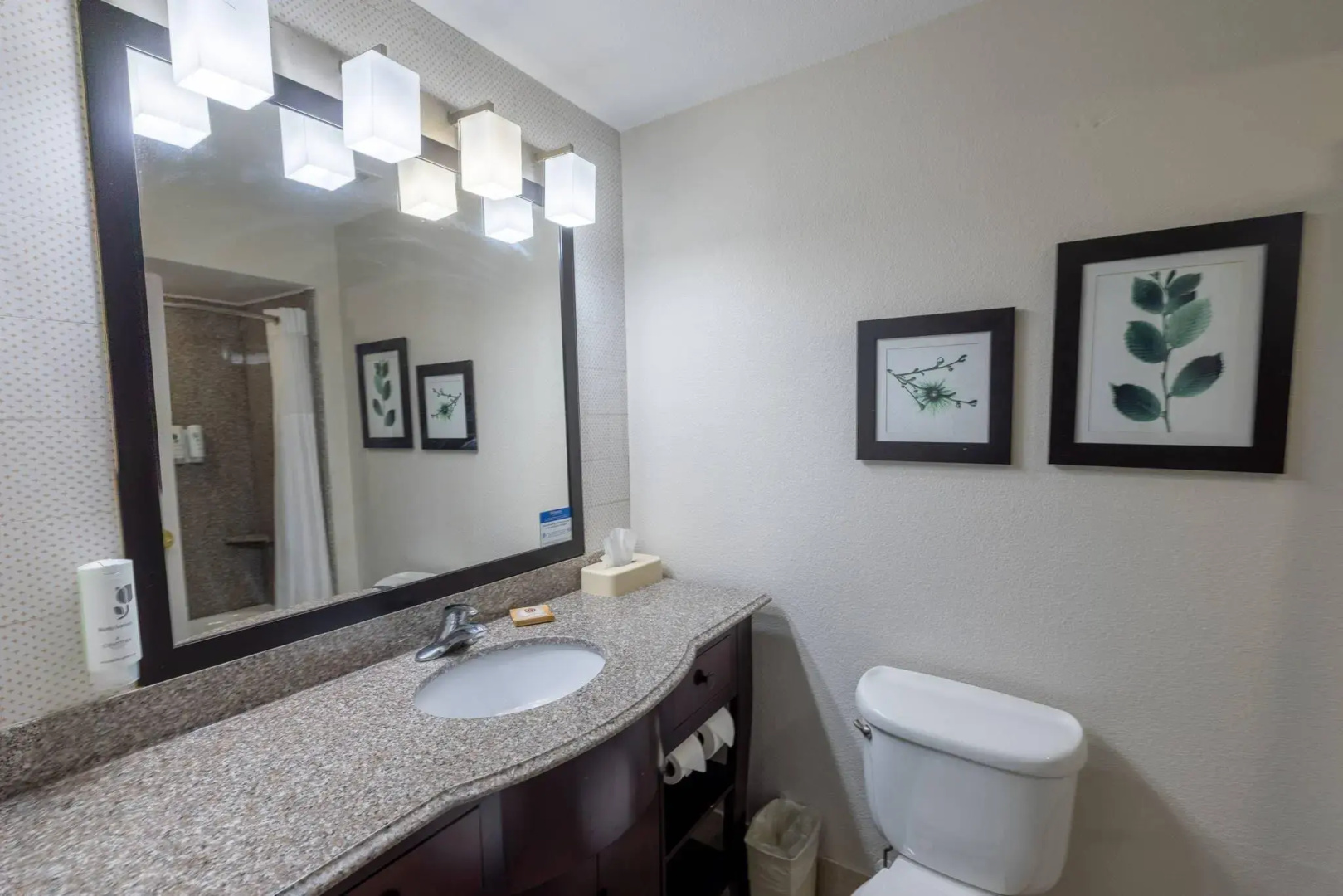 Foto - Country Inn & Suites by Radisson, St. Petersburg - Clearwater, FL