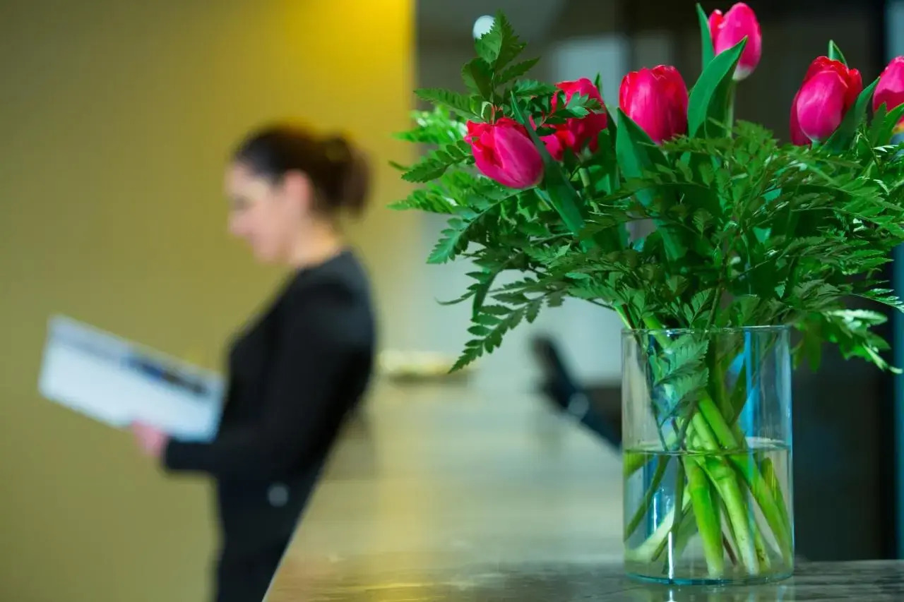 Foto - Airone City Hotel