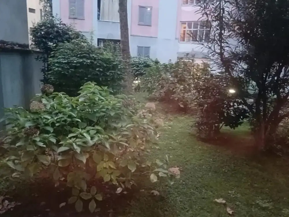 Photo - Floris Guest House