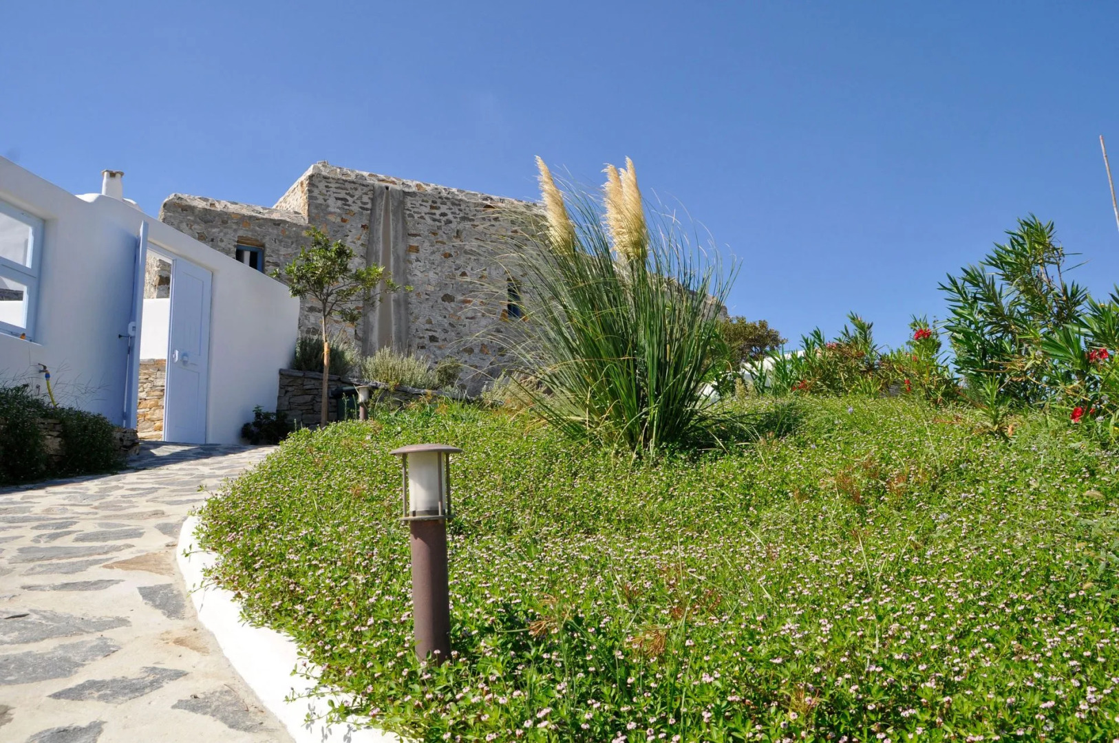 Photo - Belogna Ikons