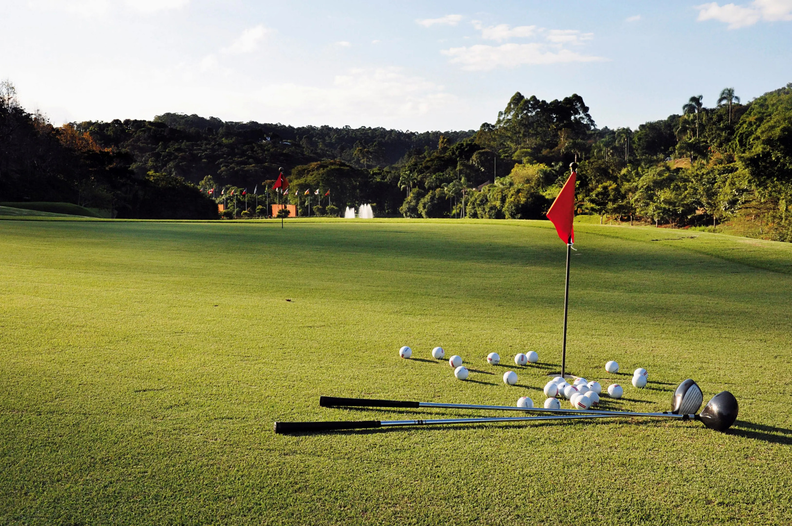 Photo - Unique Garden