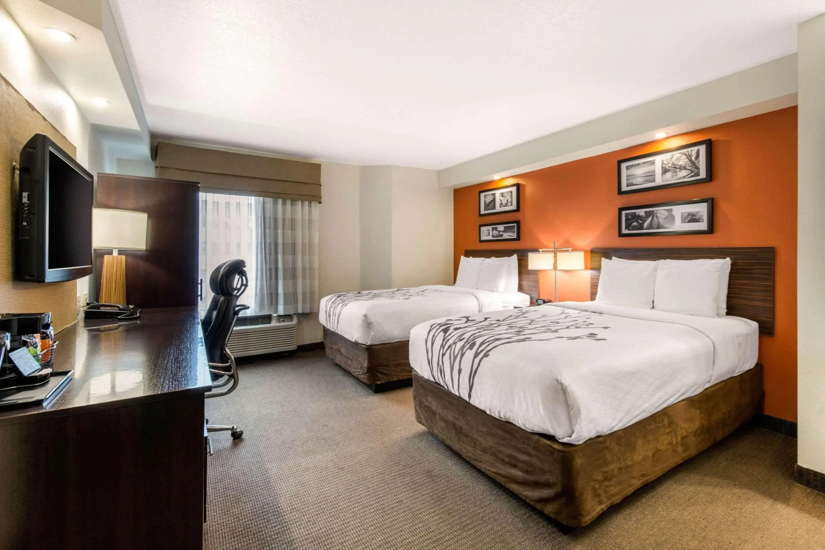 Foto - Sleep Inn Clearwater-St Petersburg