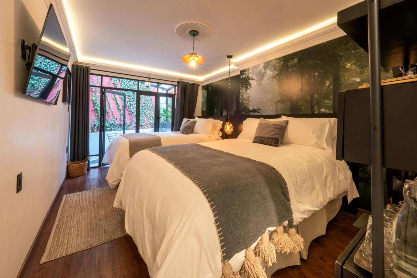 Foto - Orchid House Mexico City