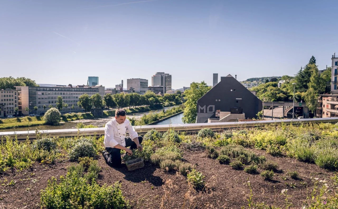 Foto - Zurich Marriott Hotel
