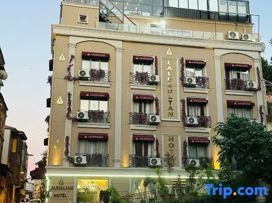 Foto - Lale Sultan Hotel