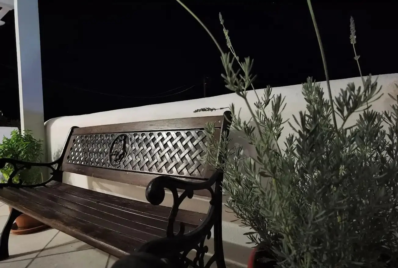 Photo - Korali Garden