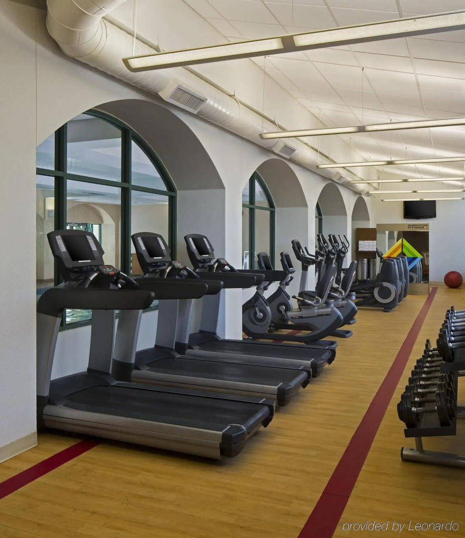 Photo - Four Points by Sheraton Suites Tampa Airport Westshore