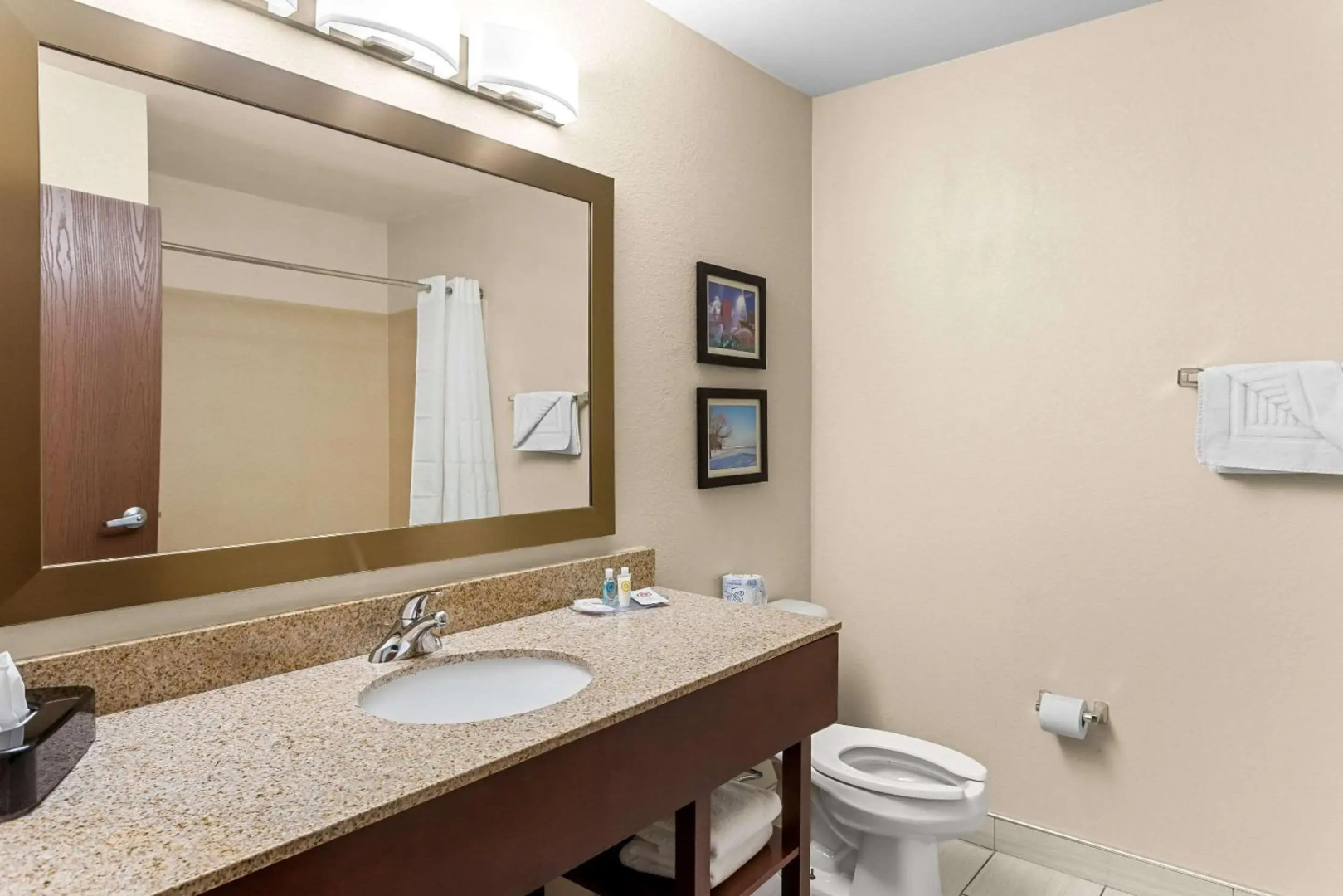 Photo - Comfort Suites Grayslake near Libertyville North