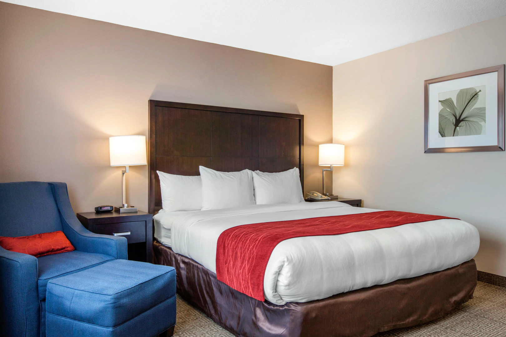 Foto - Best Western Inn & Suites San Diego – Zoo/SeaWorld Area