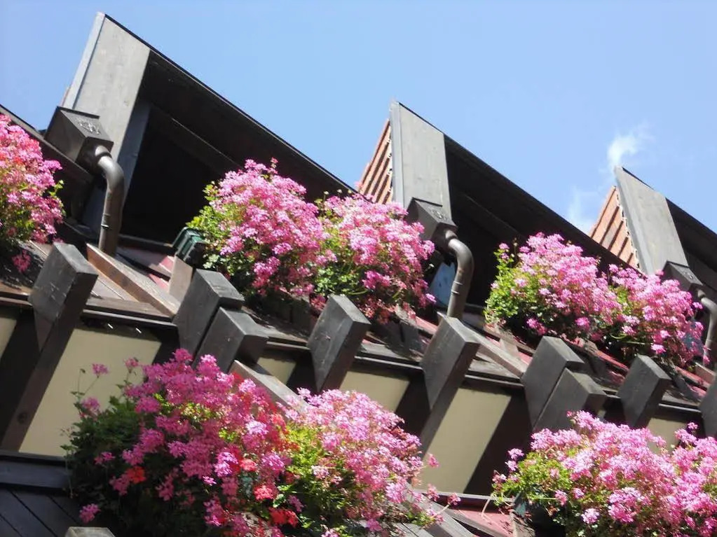 Photo - B&B Garni Villa Campitello