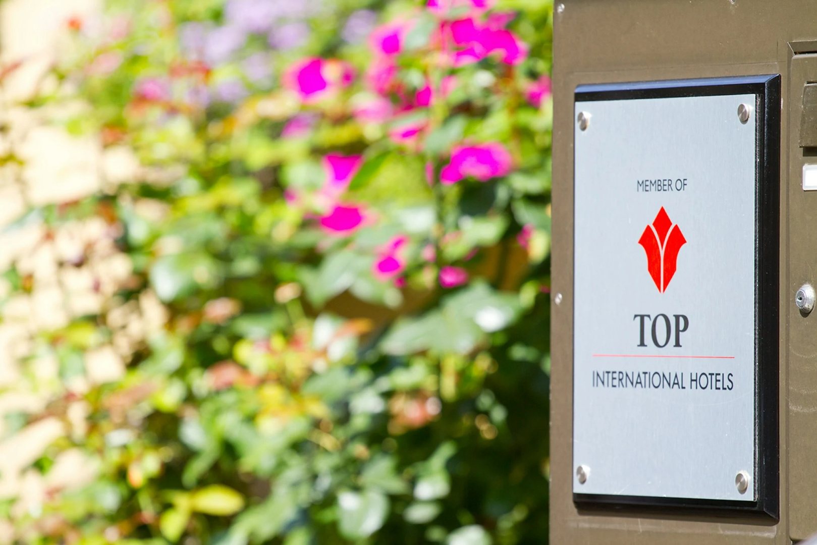 Foto - TOP Hotel Amberger
