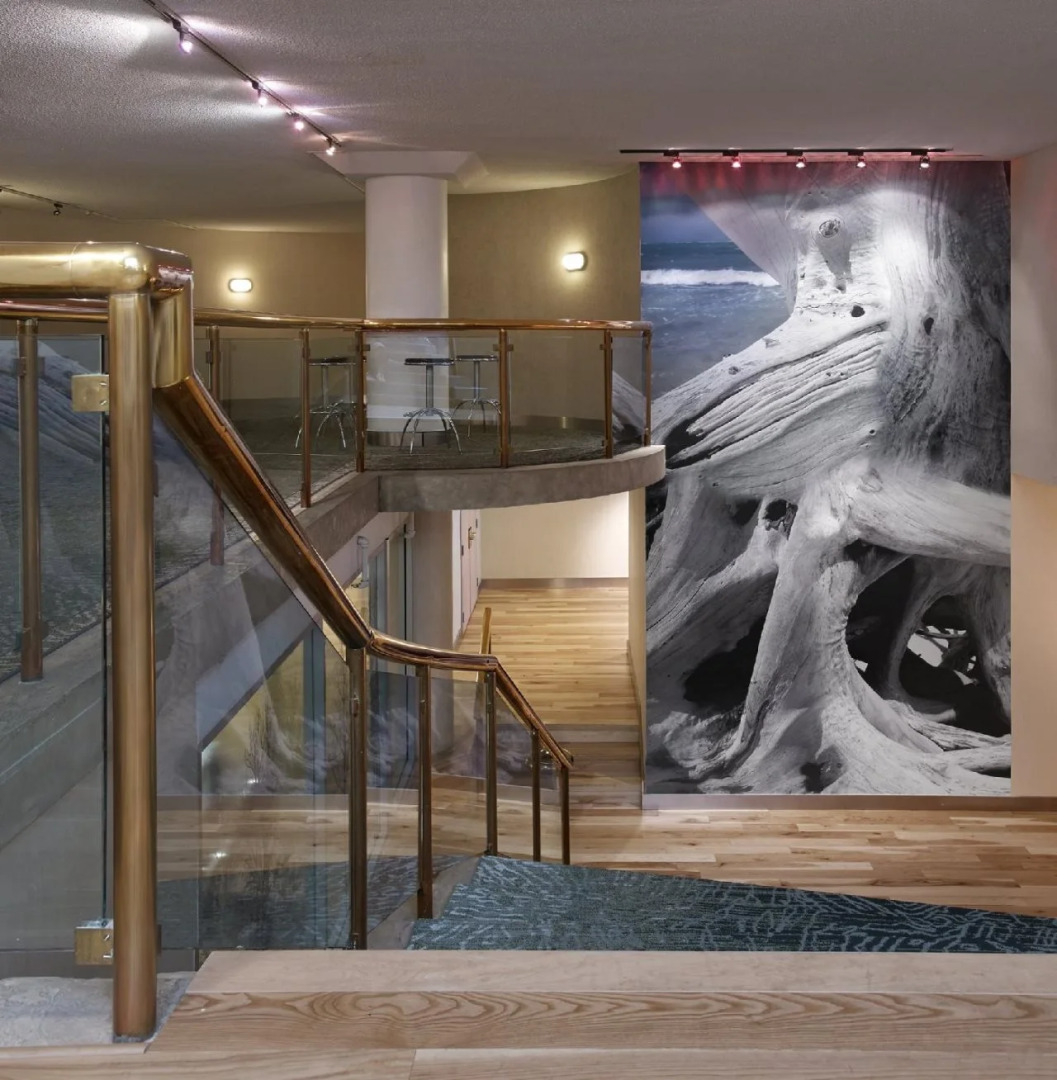 Foto - Radisson Blu Toronto Downtown