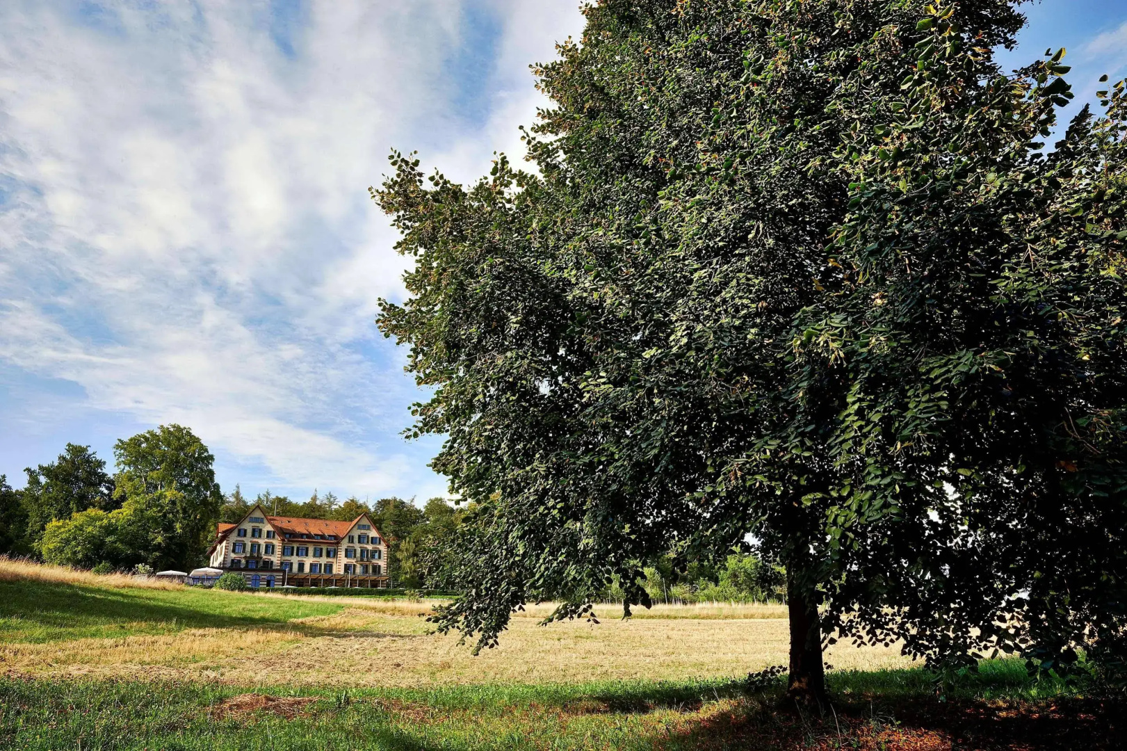 Foto - Sorell Boutique-Hotel Zürichberg
