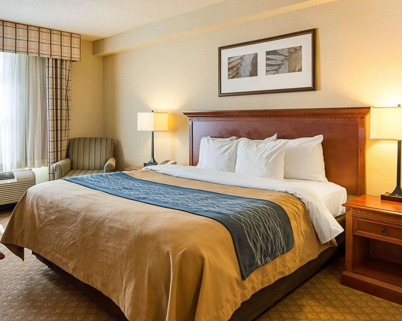 Foto - Comfort Inn & Suites Virginia Beach - Norfolk Airport