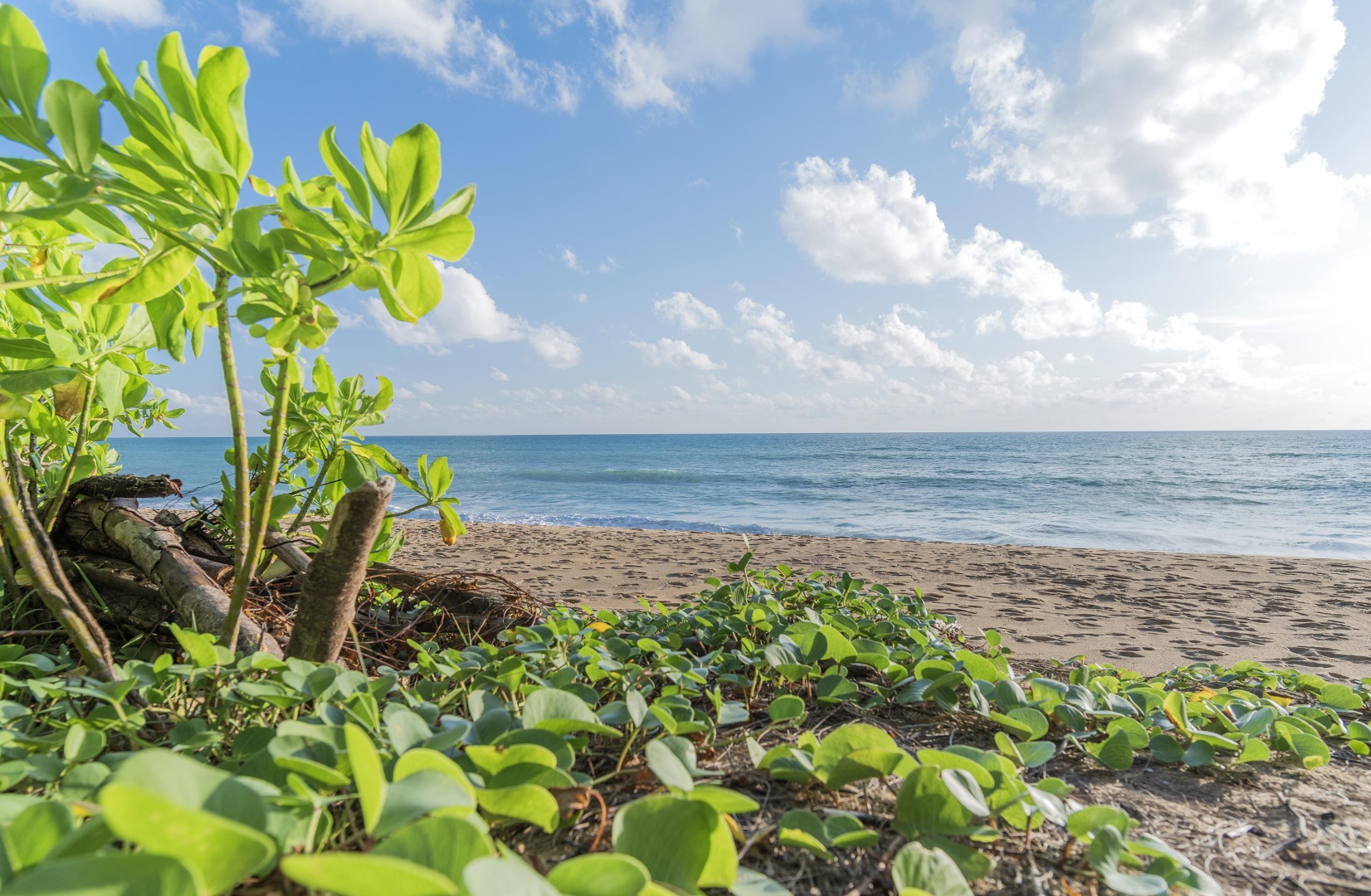Photo - Renaissance Phuket Resort & Spa