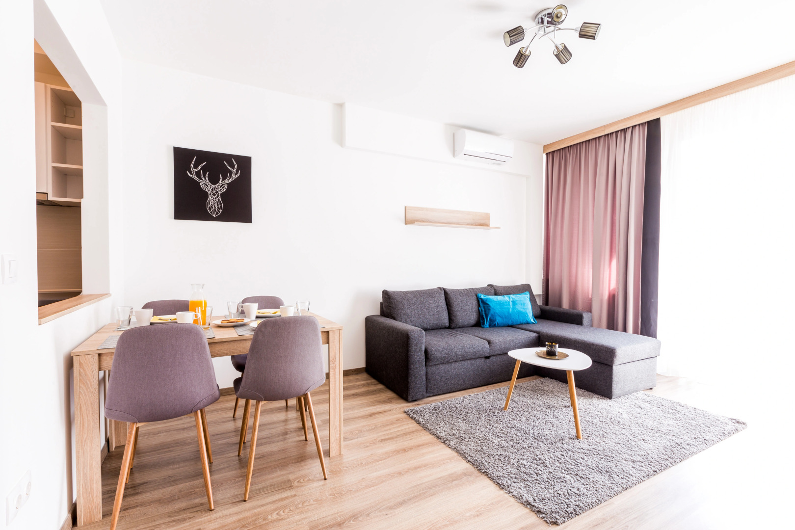 Photo - Vagabond Corvin