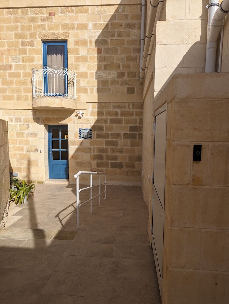 Photo - Sea Holly Gozo