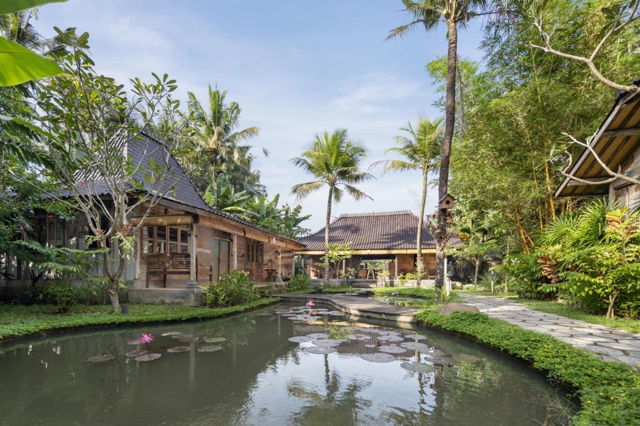 Foto - Korurua Dijiwa Ubud