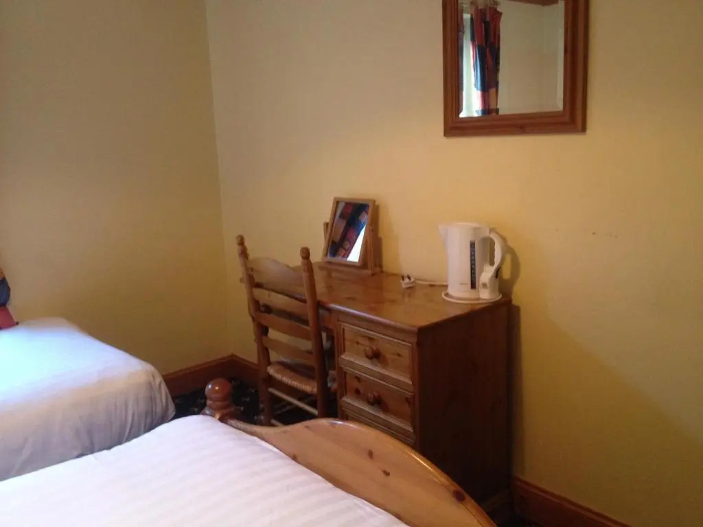 Photo - Twin Lions Hotel