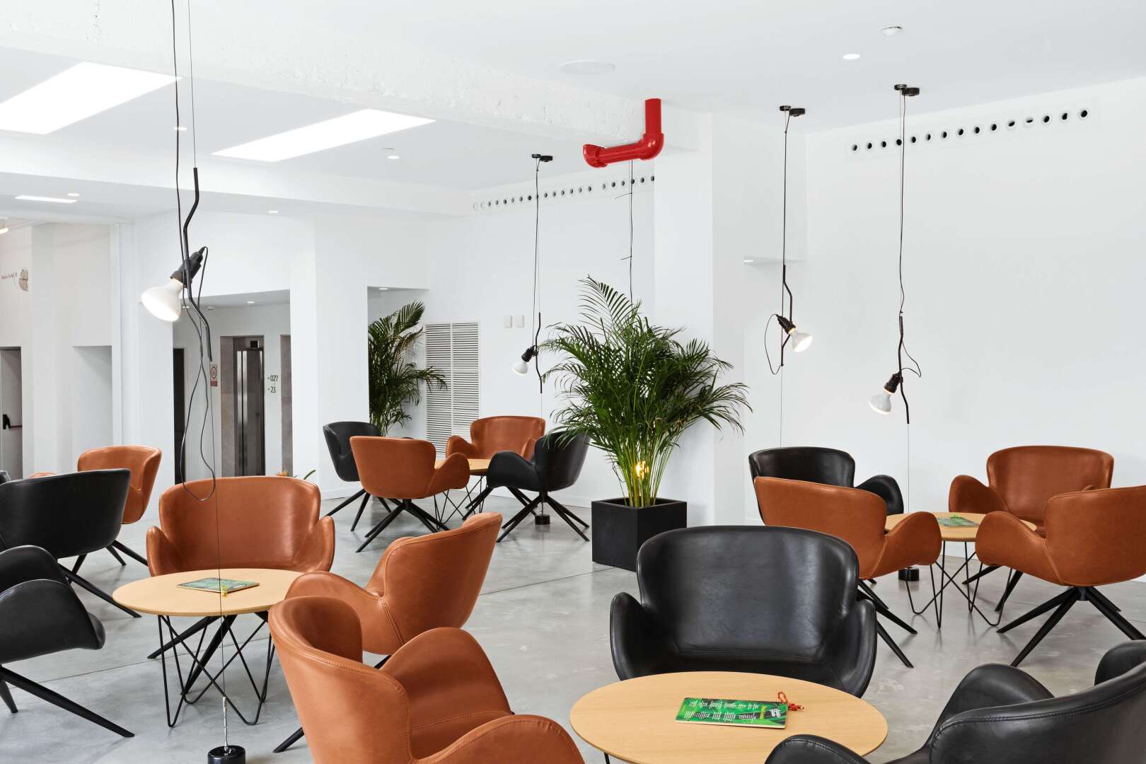 Photo - Hotel Paradiso Garden