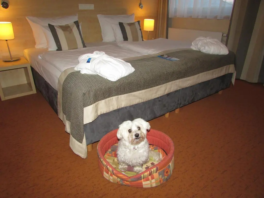 Photo - Aquapalace Hotel Prague