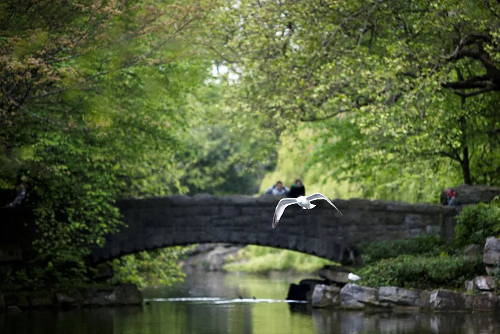 Foto - Townhouse on the Green