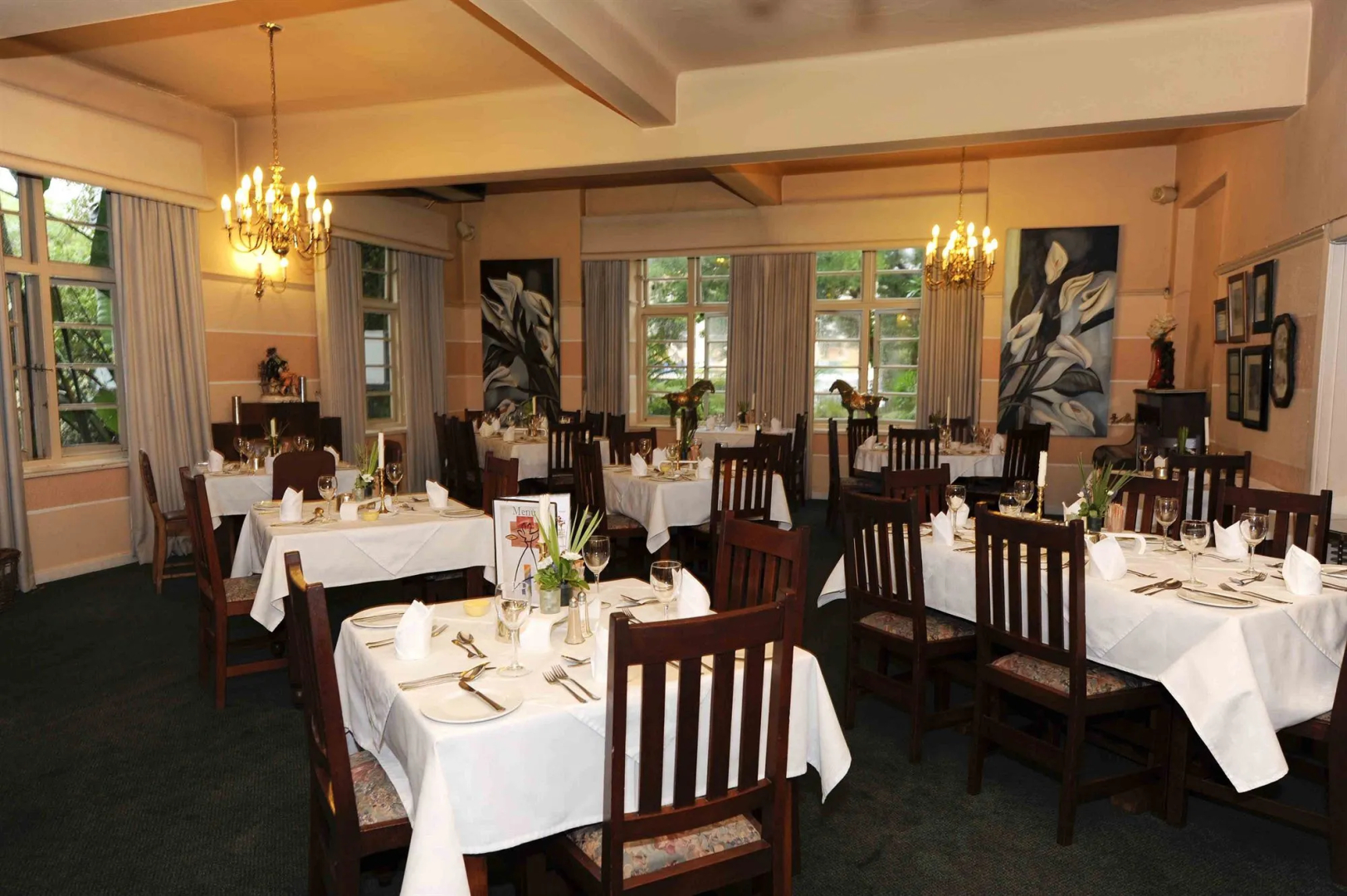 Foto - Montagu Country Hotel