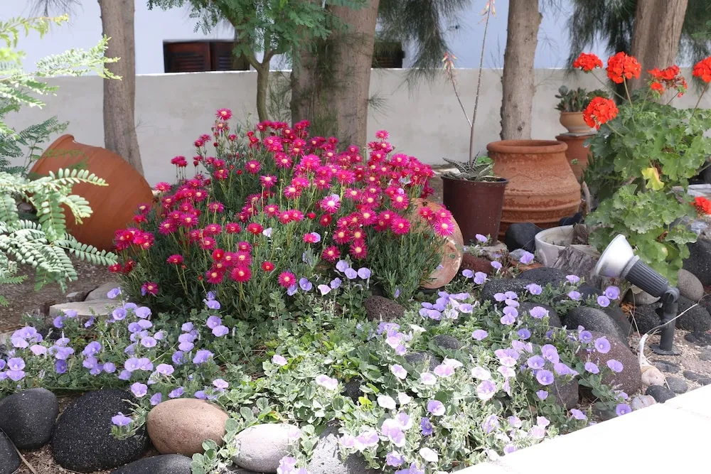 Photo - Spiros & Hiroko Hotel - Adults Only