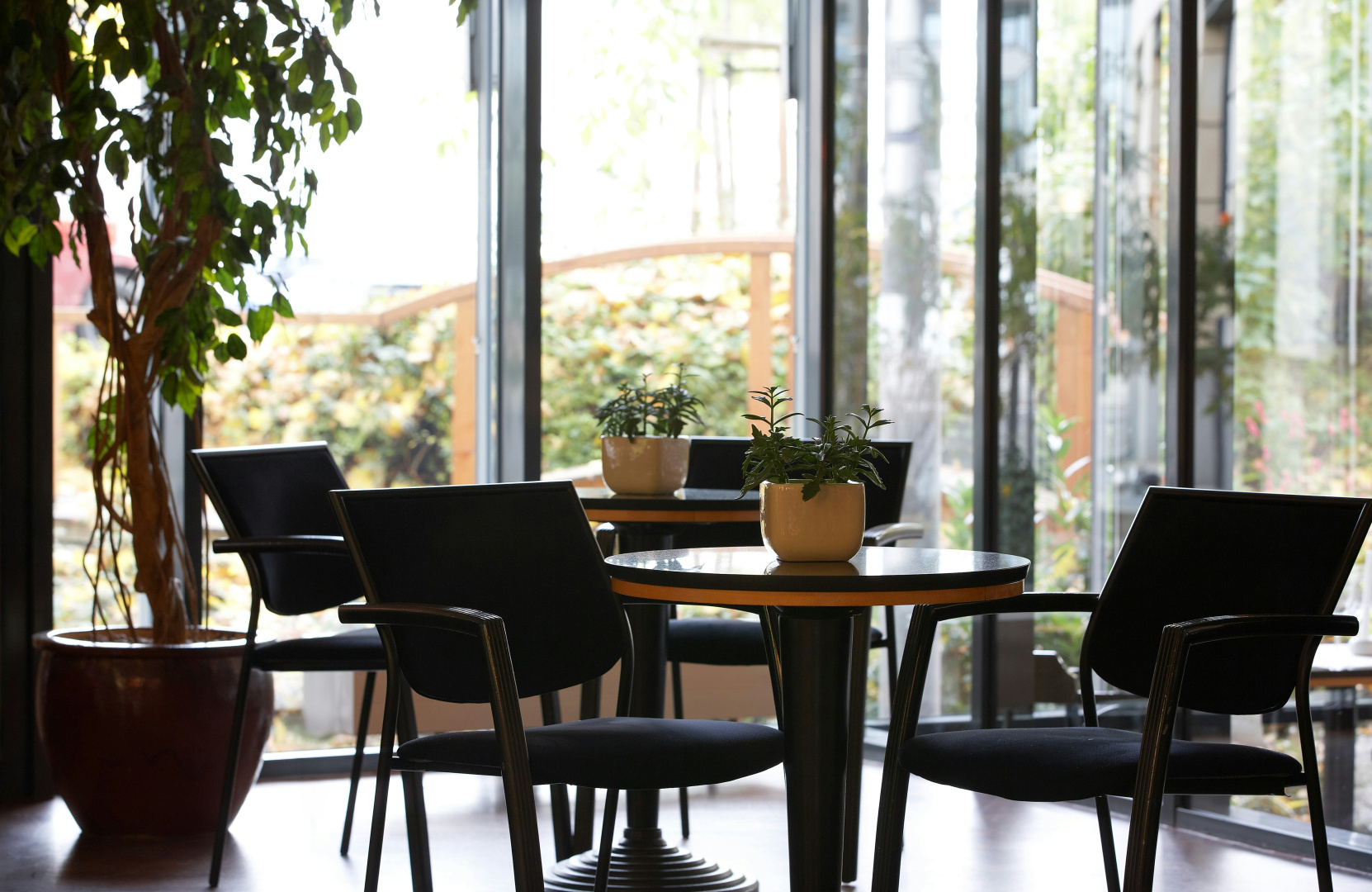 Photo - Hotel Magdeburg City Center by Leonardo Hotels