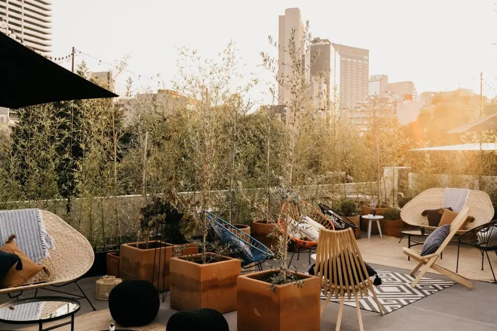 Foto - The Wild Oscar