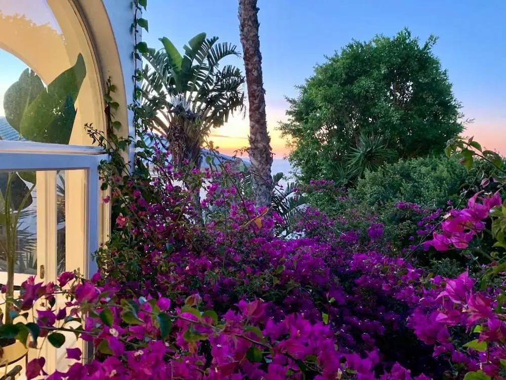 Photo - Clifton YOLO Spaces - Clifton Boutique Apartments