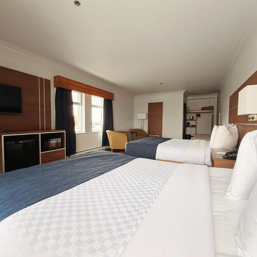 Foto - Hotel L'Oie des neiges