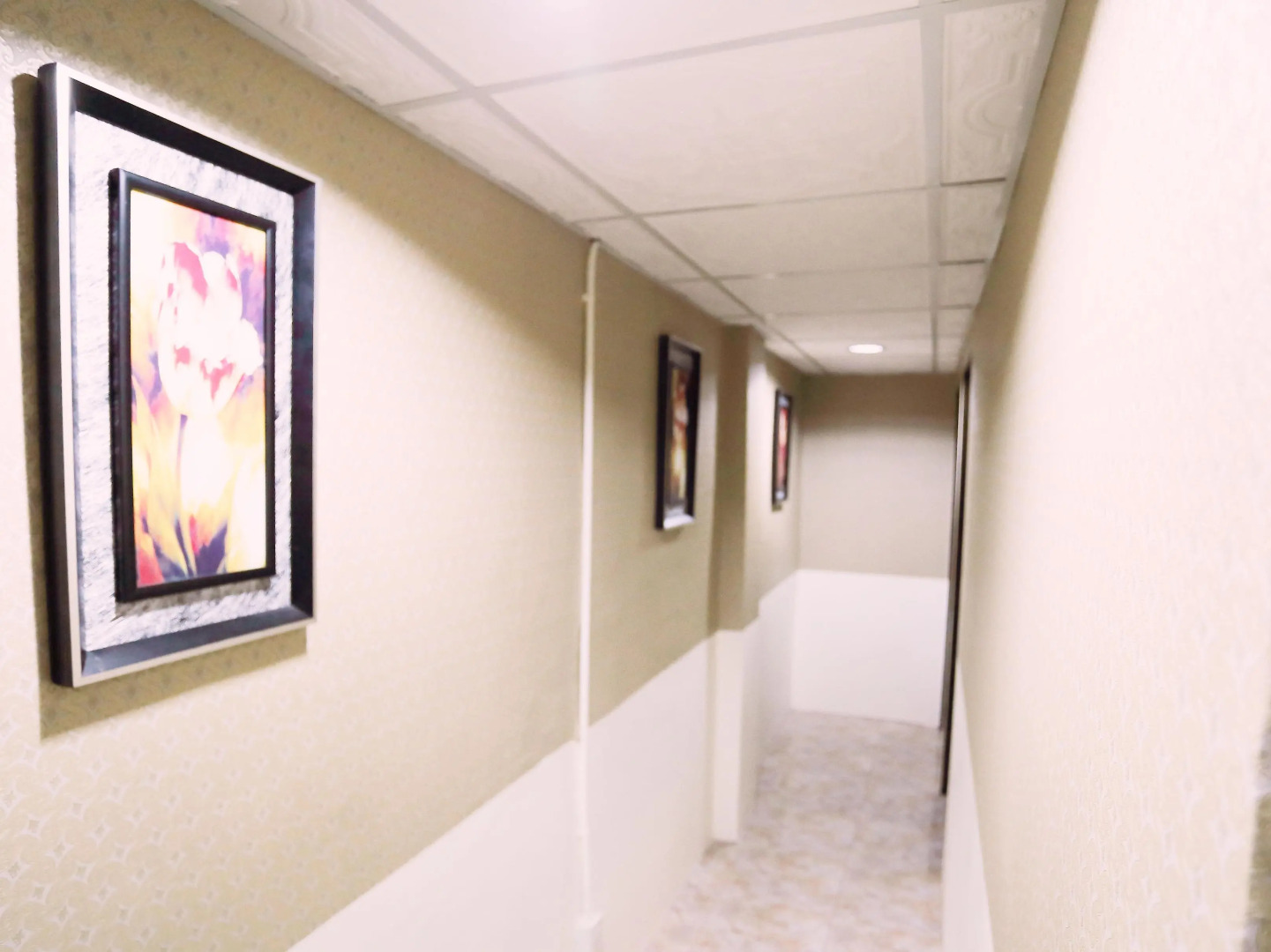 Photo - Sukhumvit 20 Guest House