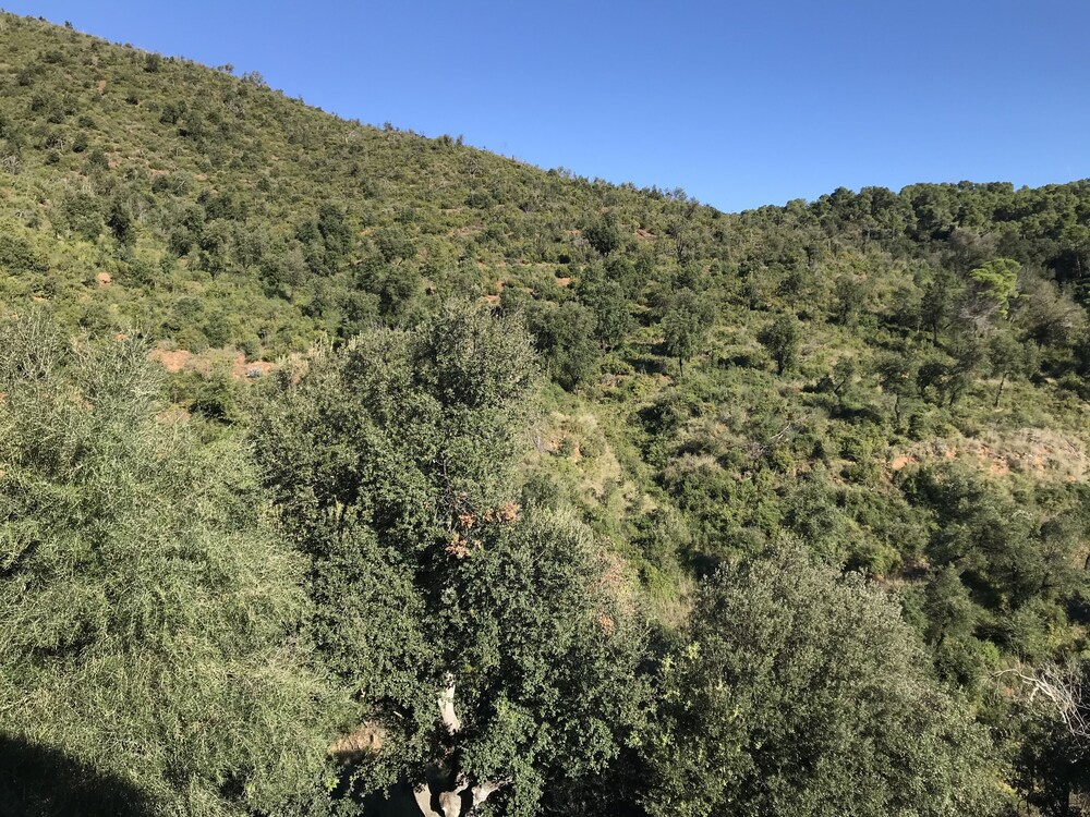 Foto - Finca Bell-Lloc