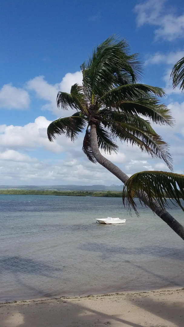 Photo - Jalsa Beach Hotel & Spa