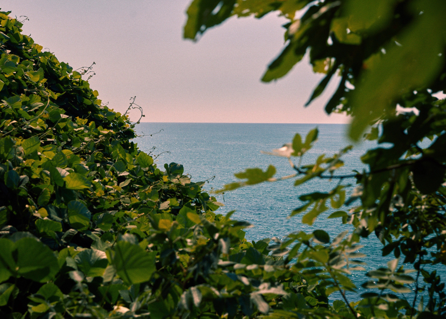 Photo - Rooms Hotel Batumi