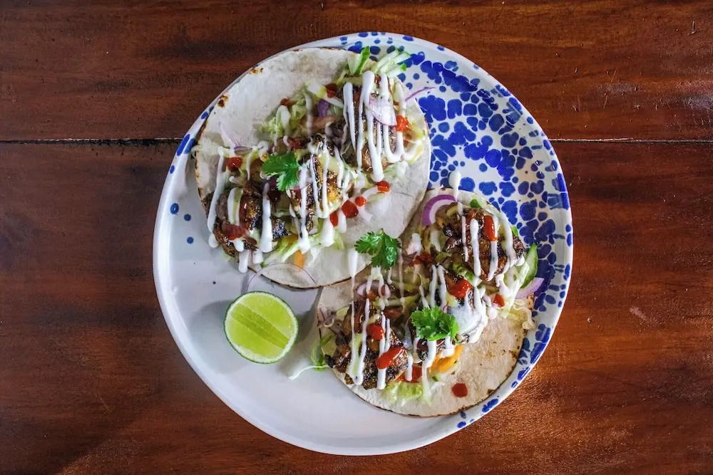 Foto - Whaleshark Beach