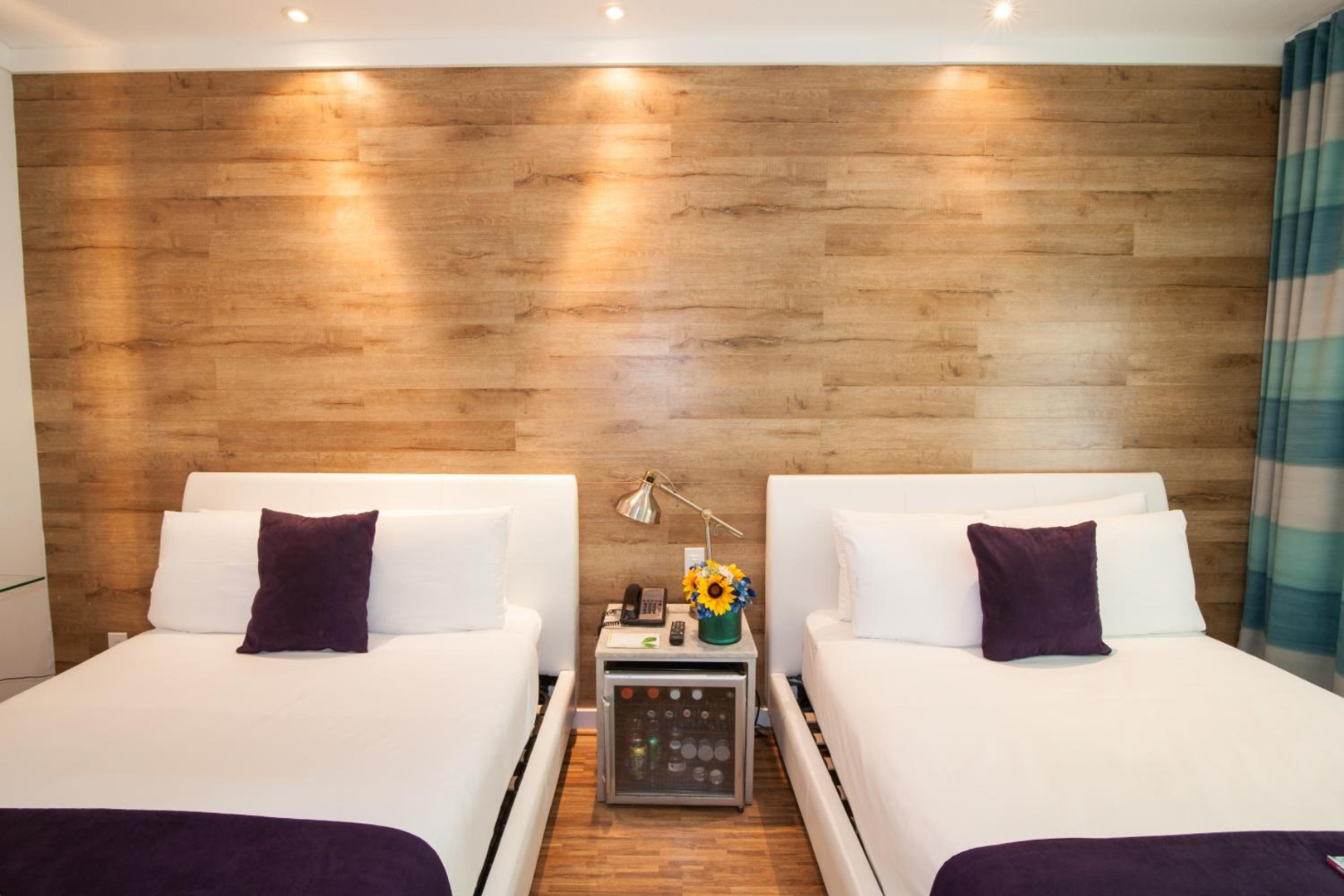 Foto - Shelley Hotel