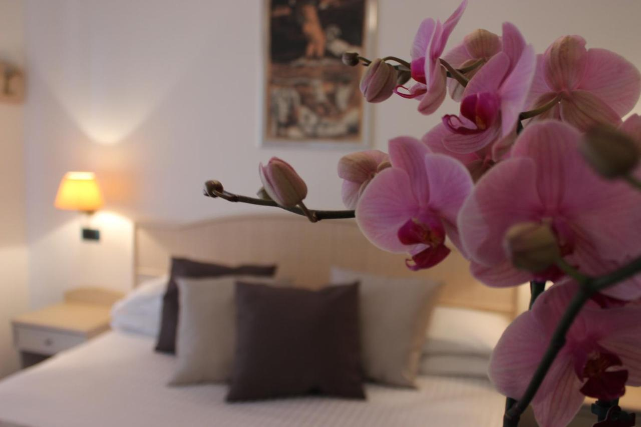 Photo - Hotel Miramare
