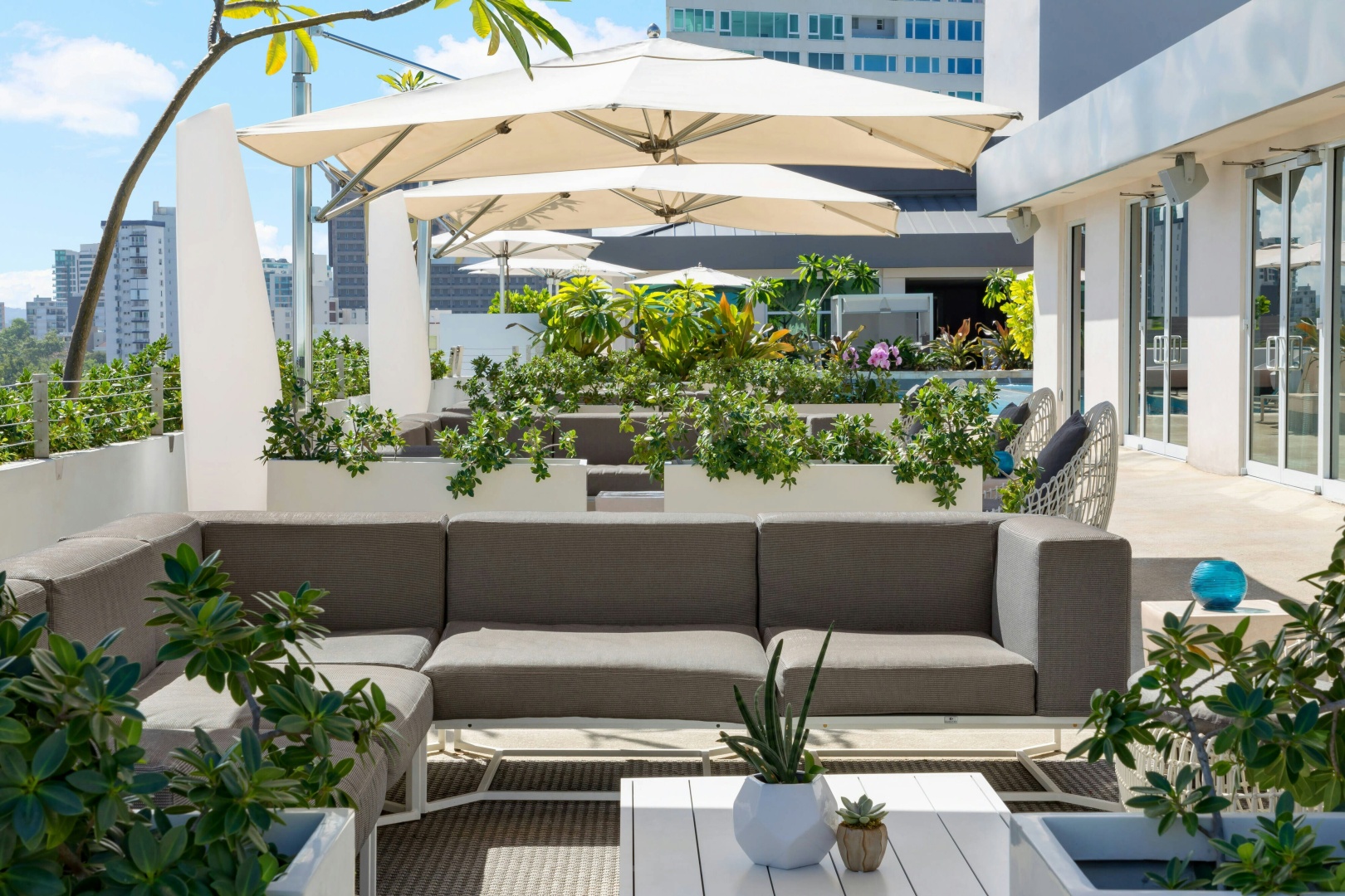Foto - AC Hotel by Marriott San Juan Condado